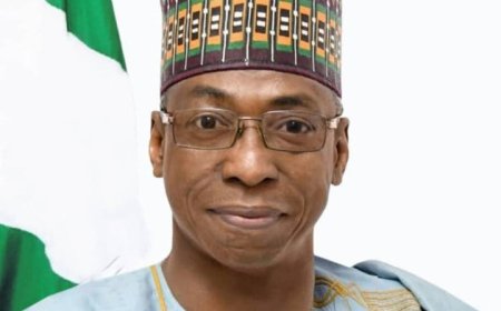 FG, Somalia pledge stronger ties, security cooperation