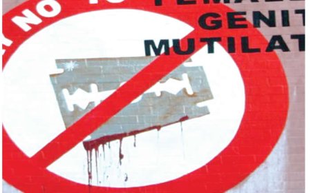 Oyo equips health workers to tackle female genital mutilation