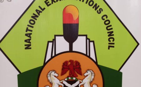 NECO to commence computer-based exams in 2026 — FG