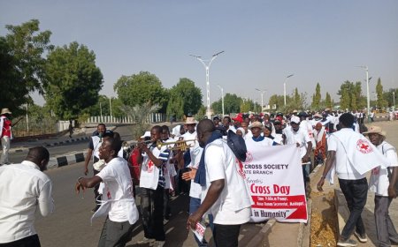 Over two million people displaced by North East insecurity — ICRC
