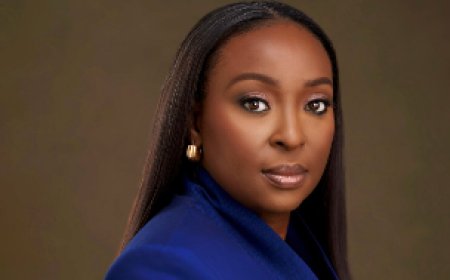 FG begins repayment of power sector debts, says Transcorp CEO