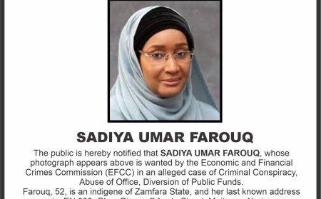 EFCC declares former humanitarian minister Farouq wanted