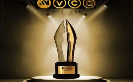 AMVCA 2026: Full List of winners