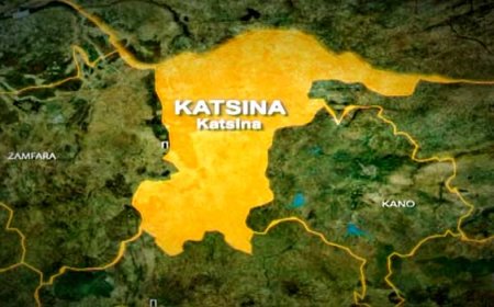 Army kills three terrorists, busts drug ring in Katsina 