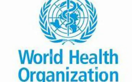 Hantavirus: No worries of potential infection for average persons — WHO