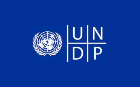 UNDP Remote Internship in Digital, AI and Innovation 2026 | How To Apply