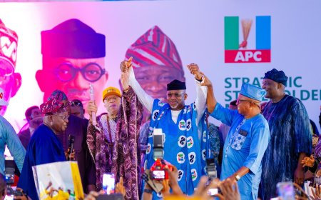 2027 Senate Race: Ogun East APC Formally Presents Dapo Abiodun as Consensus Candidate