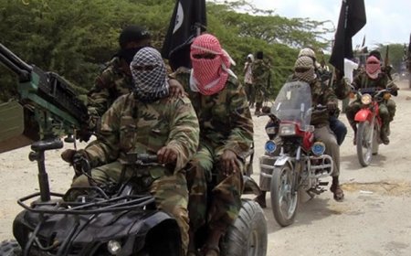 Terrorists share video showing five Borno captives killed
