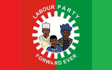 Labour Party sets up screening committee for primaries