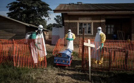 No vaccine for latest Ebola outbreak, DRC warns as as toll hits 80