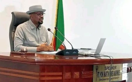 APC declares Rivers Assembly Speaker, other Wike loyalists winners