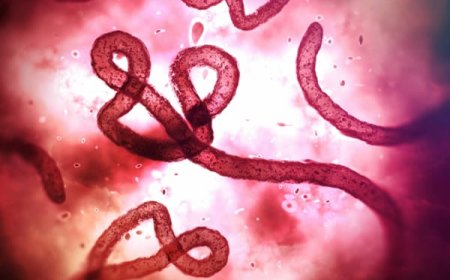 Nigeria tightens surveillance as Ebola kills 80 in Congo