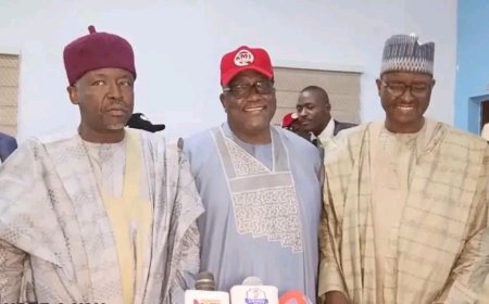 Yobe APC gov aspirants reject consensus candidate, demand direct primaries