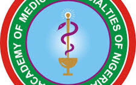 Ebola: Medical academy urges vigilance, stronger border surveillance