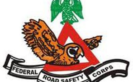 FRSC cracks down on fake diplomatic number plates