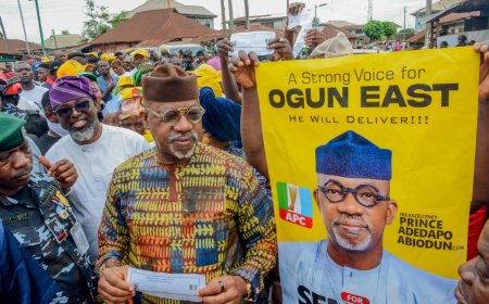 APC Senatorial Primaries Peaceful Across Ogun, Abiodun Dismisses Violence Allegation