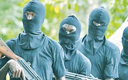 Bandit attacks threaten northern campuses, student group warns