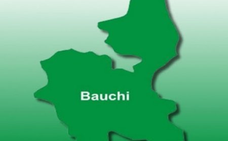 Police arrest Bauchi man for defiling minor
