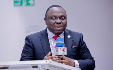 Lagos detects toxic chemicals in Ikeja industrial waste