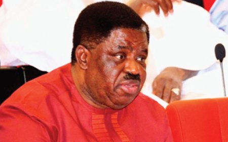 NDC appoints ex-Ebonyi gov Egwu to chair presidential screening panel