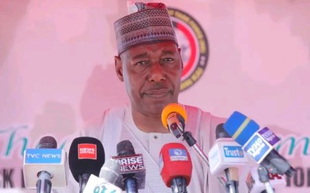 Borno gov vows safe return of 48 abducted school children