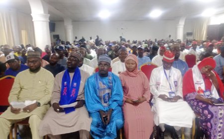Kaduna NDC backs Obi–Kwankwaso ticket for presidency