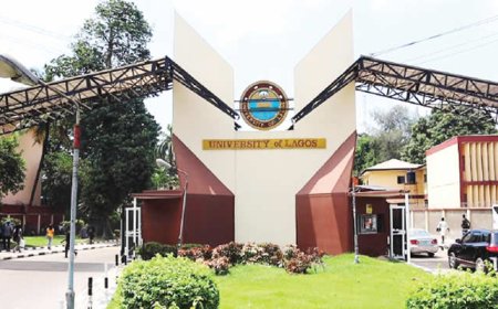 CONMESS disparity: UNILAG medical lecturers begin indefinite strike