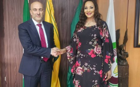 Nigeria, Italy partner on $5bn global education financing campaign