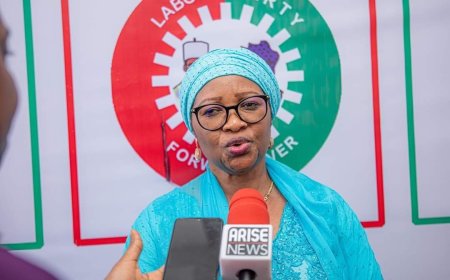 Peter Obi’s exit wouldn’t affect 2027 performance – LP