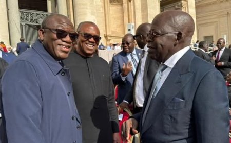 Fayemi reveals how he pushed Obi to greet Tinubu at Vatican