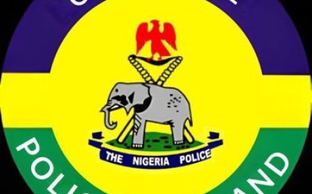 Abducted Oyo students, teachers not yet rescued — Police