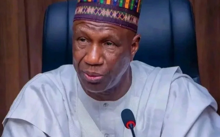 Wali wins APC governorship ticket in Yobe