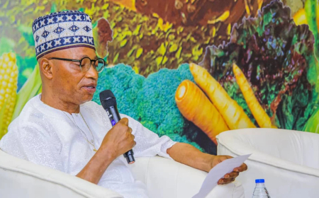 Lagos APC lawmaker wins assembly return ticket