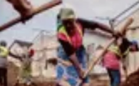EBOLA: Airlines warned against transporting suspected cases