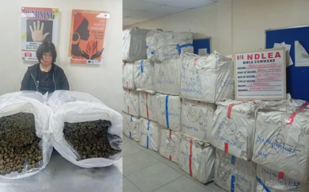 NDLEA arrests Chinese woman with drug shipment at Lagos airport