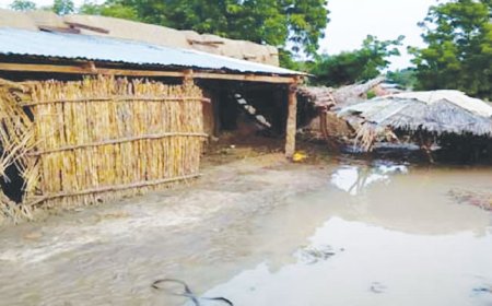Rainy season worsens disease, hunger crisis in Zamfara – MSF