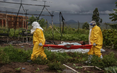 Ebola cases hit 900 in Congo DRC