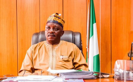 Ex-power minister Mamman begins 75-year jail term in Kuje