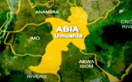 Abia gov’s wife distributes fertilisers to women farmer