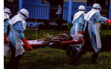 Ebola: NCDC flags Lagos, FCT, Kano, Rivers, 6 others as high-risk states
