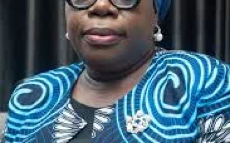 Lagos organises pre-retirement workshop for exiting auditors