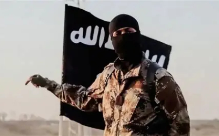 Over 80% of ISIS operations now in W’Africa’
