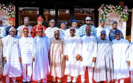 I’m happy states no longer struggle to pay salaries – Tinubu