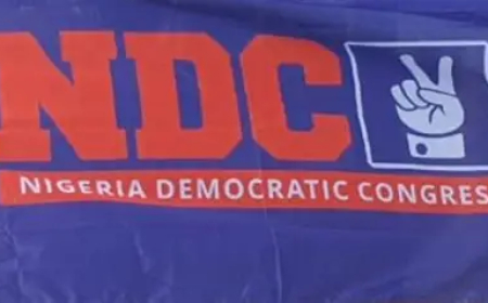 Umeh, Nwoye, Onunkwo win NDC senatorial tickets