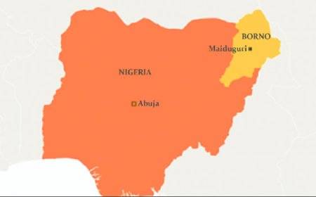 Cholera kills 37 in Borno