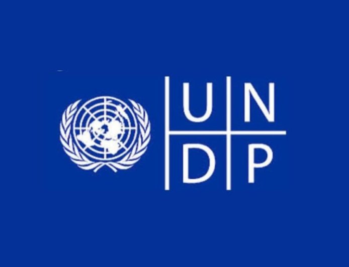 UNDP Remote Internship in Digital, AI and Innovation 2026 | How To Apply