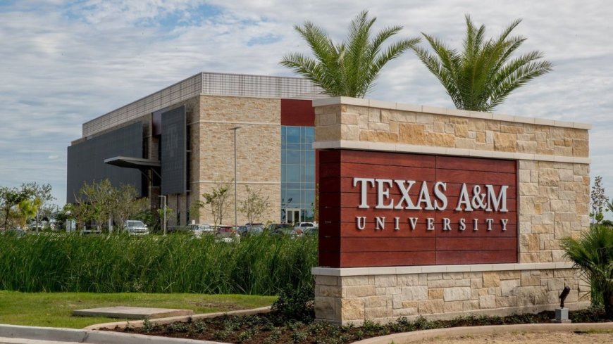 Texas A&M University Scholarship 2027 in USA | Fully Funded