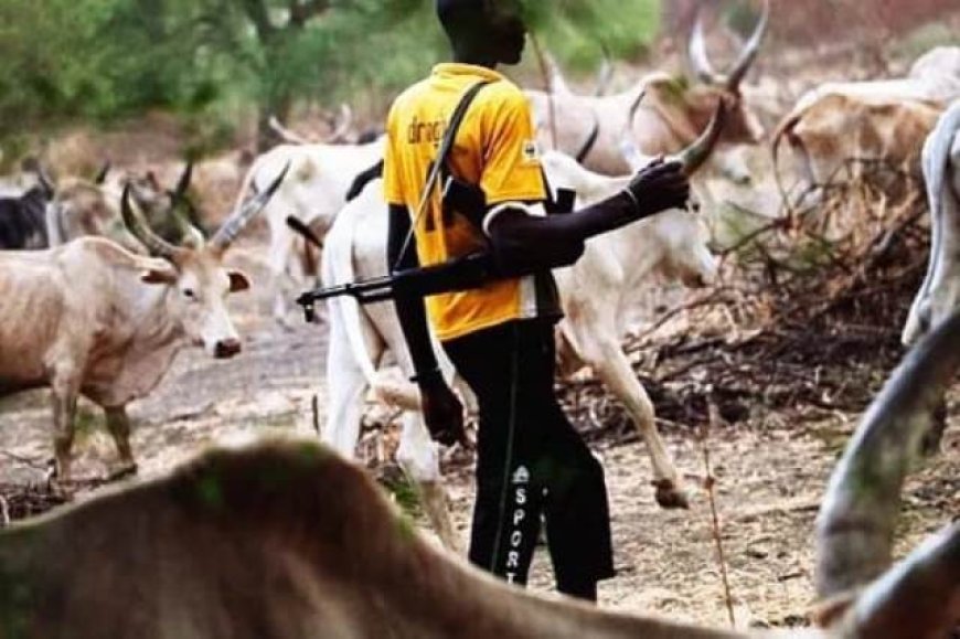 Suspected herders kill four in fresh Benue community attack