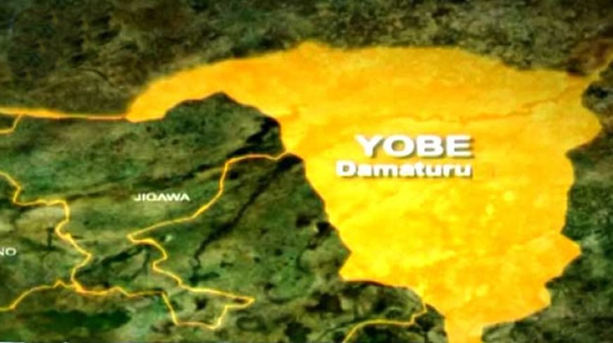 Traders, urchins resist demolition in Yobe