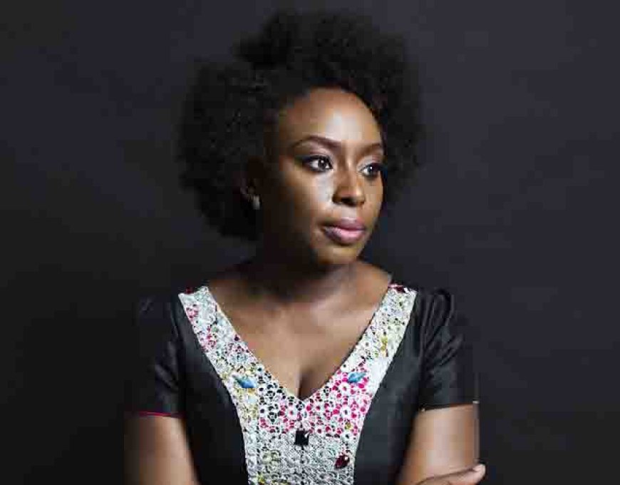 Coroner suspends inquest into death of Chimamanda Adichie’s son